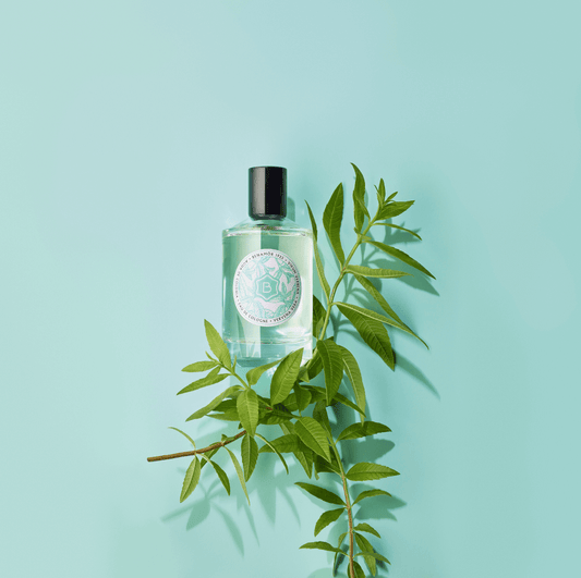 cologne bottle with verbena branch