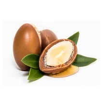 画像をギャラリービューアに読み込む, argan nuts