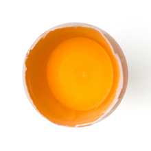 画像をギャラリービューアに読み込む, opened egg