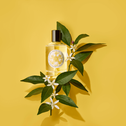 cologne bottle with orange blossom branch
