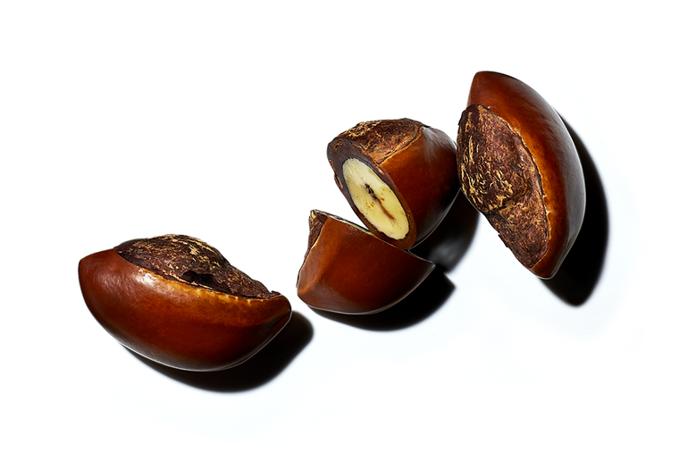 shea nuts