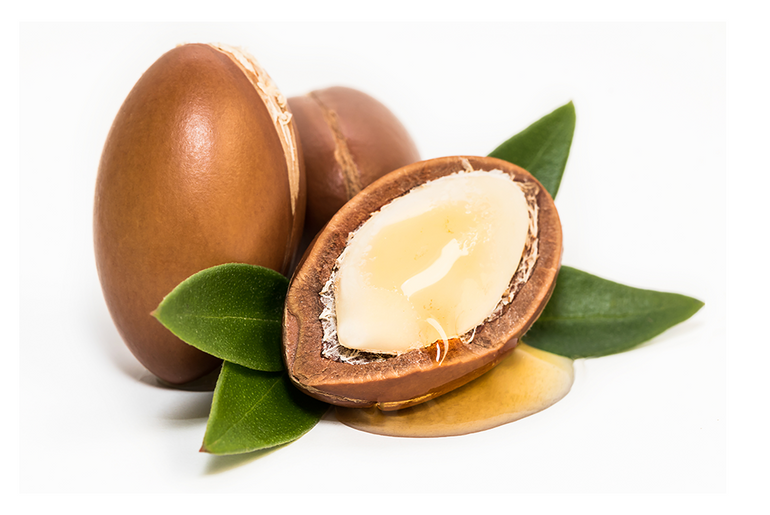 argan nuts