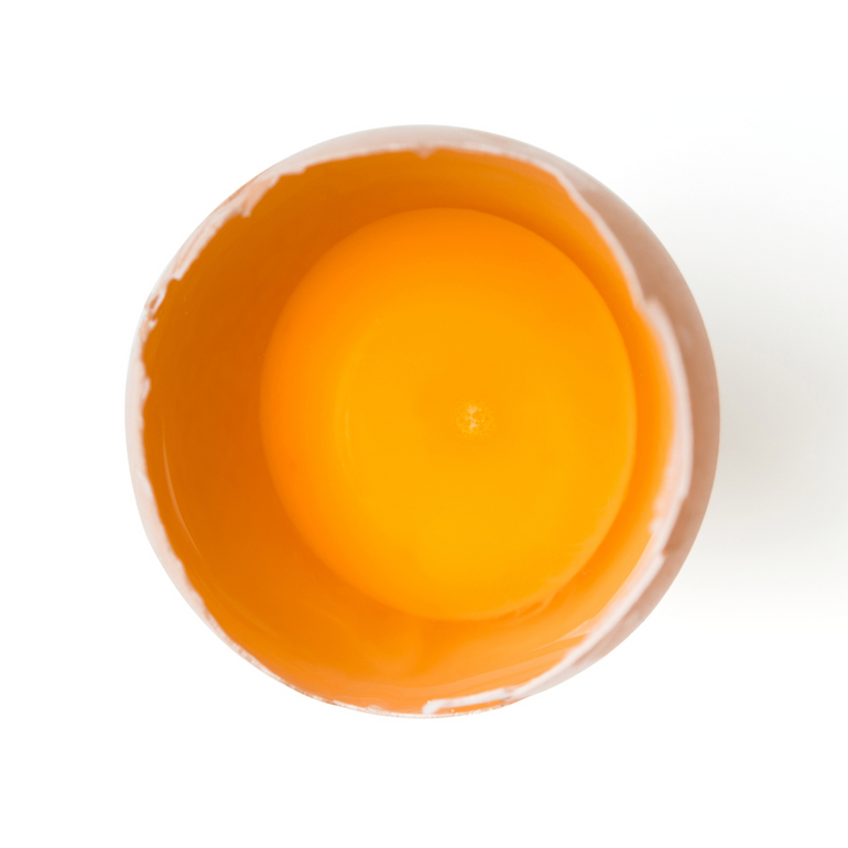 opened egg