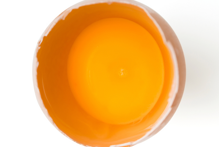 opened egg
